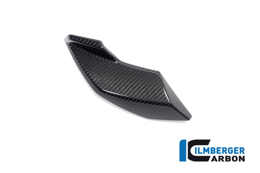 Ilmberger Carbon Side Cover Headlight, Right Side for the BMW S 1000 R '21 / M 1000 R '23-24
