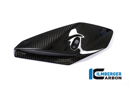 Ilmberger Carbon Front Fairing Side Panel, Right Side Carbon for the BMW S 1000 R 2014-2017