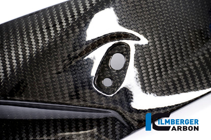 Ilmberger Carbon Front Fairing Side Panel, Right Side Carbon for the BMW S 1000 R 2014-2017