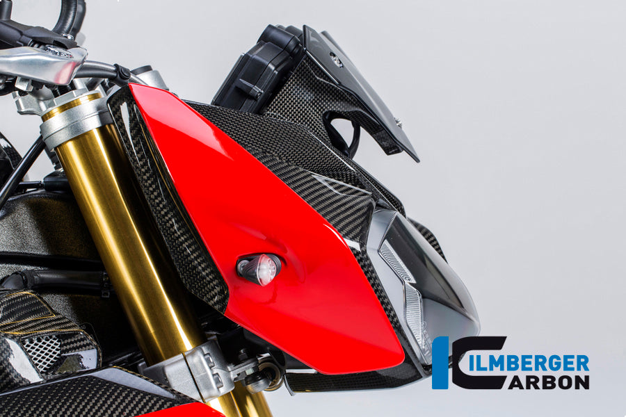 Ilmberger Carbon Front Fairing Side Panel, Right Side Carbon for the BMW S 1000 R 2014-2017