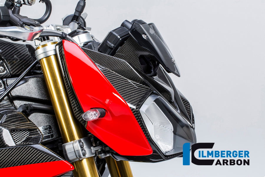 Ilmberger Carbon Front Fairing Side Panel, Right Side Carbon for the BMW S 1000 R 2014-2017
