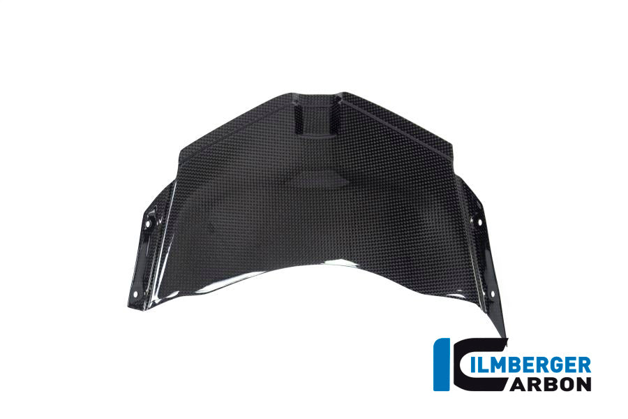 Ilmberger Carbon Panel Under the Front Fairing for the Ducati Panigale V4 / V4 S '20-22 / V4 R Racing '18-21