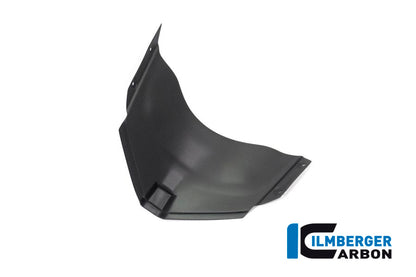 Ilmberger Carbon Panel Under the Front Fairing for the Ducati Panigale V4 / V4 S '20-22 / V4 R Racing '18-21