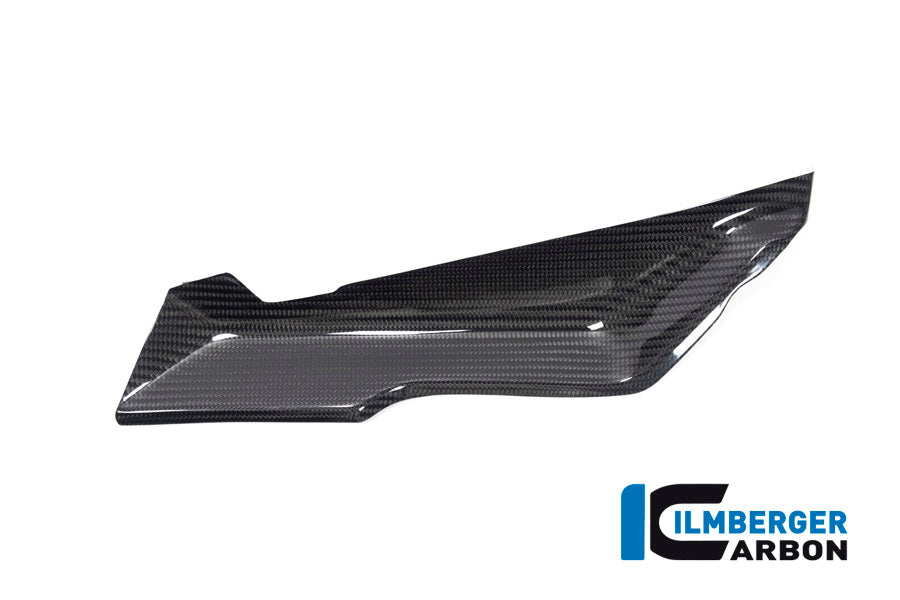 Ilmberger Carbon Cover under the Front Fairing, Right side for the BMW R 1250 RS 2019