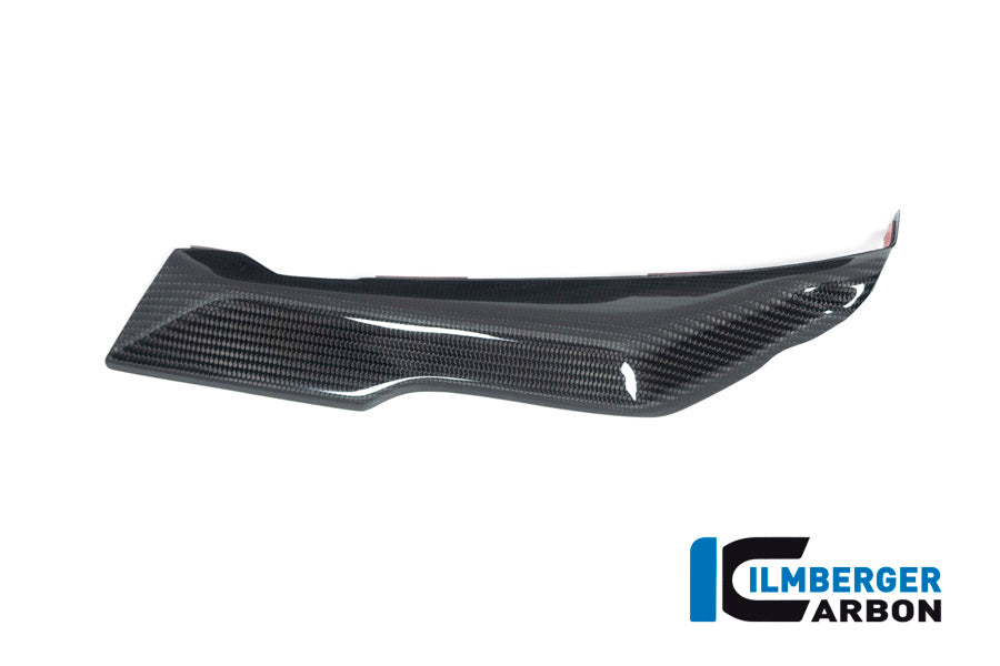 Ilmberger Carbon Cover under the Front Fairing, Right side for the BMW R 1250 RS 2019