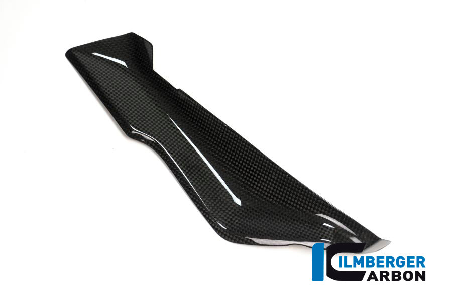 Ilmberger Carbon Right Cover under the Front Fairing for the BMW R 1200 RS 2015