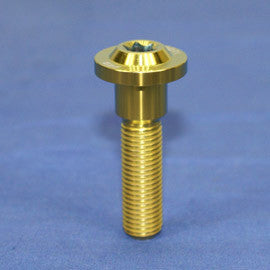 Proti M10 Universal Bolt M10L42-OTB01