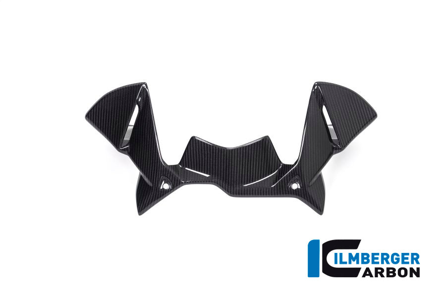 Ilmberger Carbon Windprotector on the Instruments for the BMW R 1250 GS / GS Adventure 2019