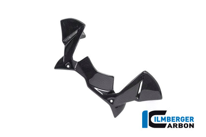 Ilmberger Carbon Windprotector on the Instruments for the BMW R 1250 GS / GS Adventure 2019