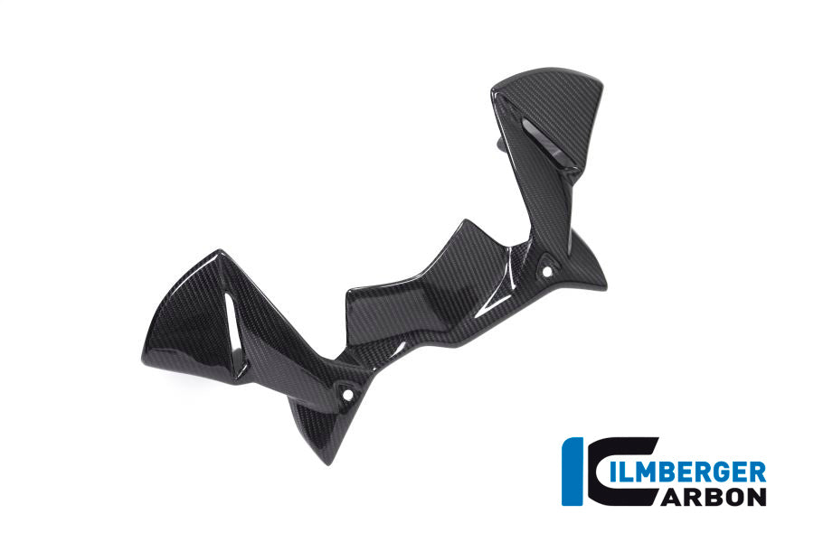 Ilmberger Carbon Windprotector on the Instruments for the BMW R 1250 GS / GS Adventure 2019