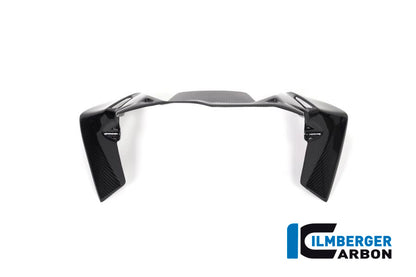 Ilmberger Carbon Windprotector on the Instruments for the BMW R 1250 GS / GS Adventure 2019