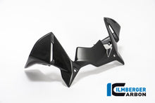 Ilmberger Carbon Windprotector on the Instruments for the BMW R 1200 GS 2017