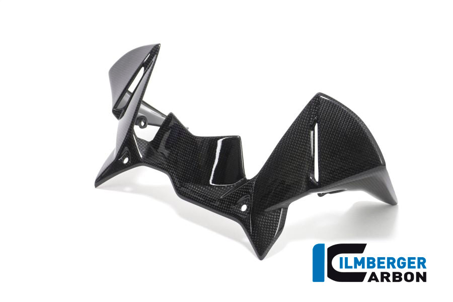 Ilmberger Carbon Windprotector on the Instruments for the BMW R 1200 GS 2017