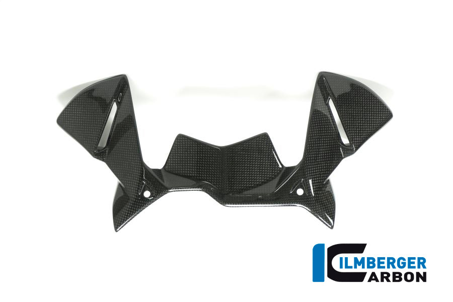 Ilmberger Carbon Windprotector on the Instruments for the BMW R 1200 GS 2017