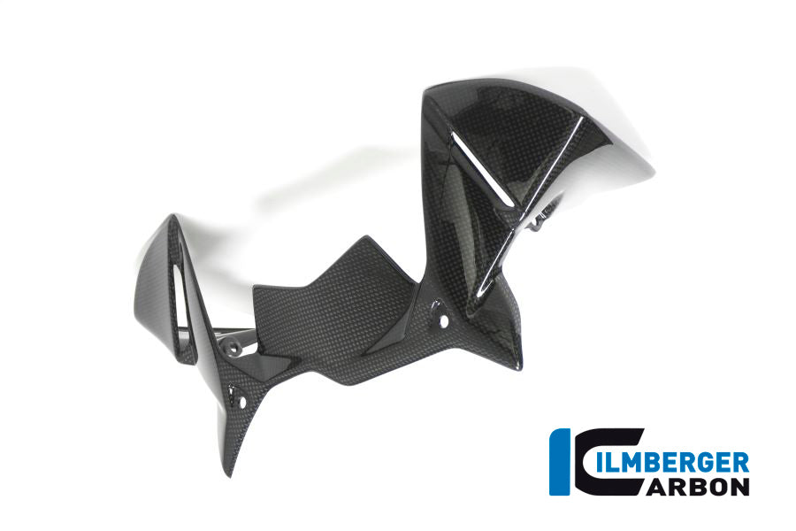 Ilmberger Carbon Windprotector on the Instruments for the BMW R 1200 GS 2017
