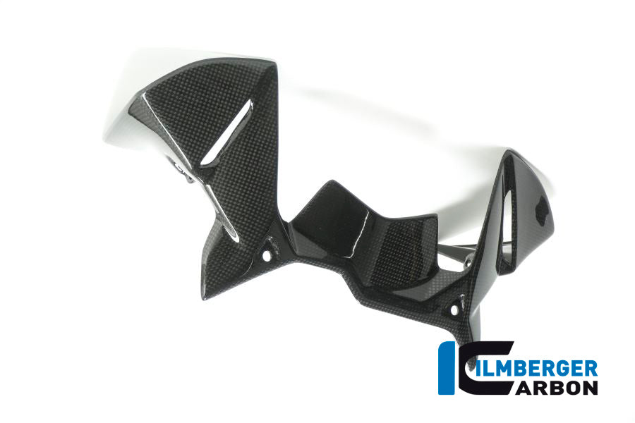 Ilmberger Carbon Windprotector on the Instruments for the BMW R 1200 GS 2017