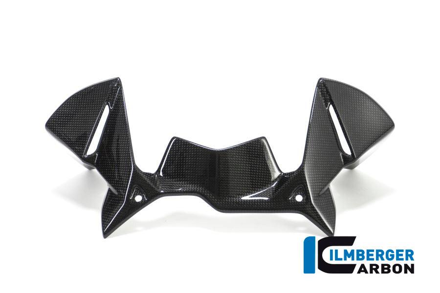 Ilmberger Carbon Windprotector on the Instruments for the BMW R 1200 GS 2017