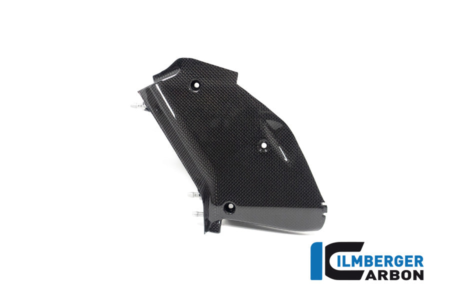 Ilmberger Carbon Inner Airtube Cover, Left for the Ducati Diavel V4 2023