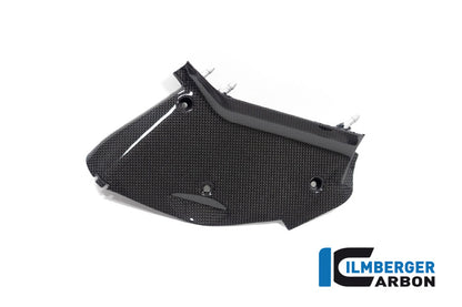 Ilmberger Carbon Inner Airtube Cover, Left for the Ducati Diavel V4 2023