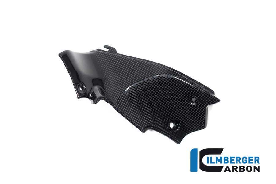 Ilmberger Carbon Airtube Covers Left, for the Ducati Streetfighter V2 '22