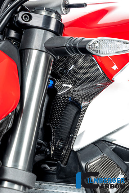 Ilmberger Carbon Airtube Covers Left, for the Ducati Streetfighter V2 '22