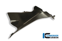 Ilmberger Carbon Airtube Covers, Left Matt for the Ducati 1199 Panigale '12-14 / 899 Panigale '13-14