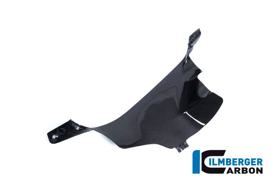 Ilmberger Carbon Air Tube Cover, Left for the Ducati Panigale V4,V4 S '18-22 / V4 R '19-22