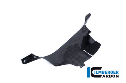 Ilmberger Carbon Air Tube Cover, Left for the Ducati Panigale V4,V4 S '18-22 / V4 R '19-22