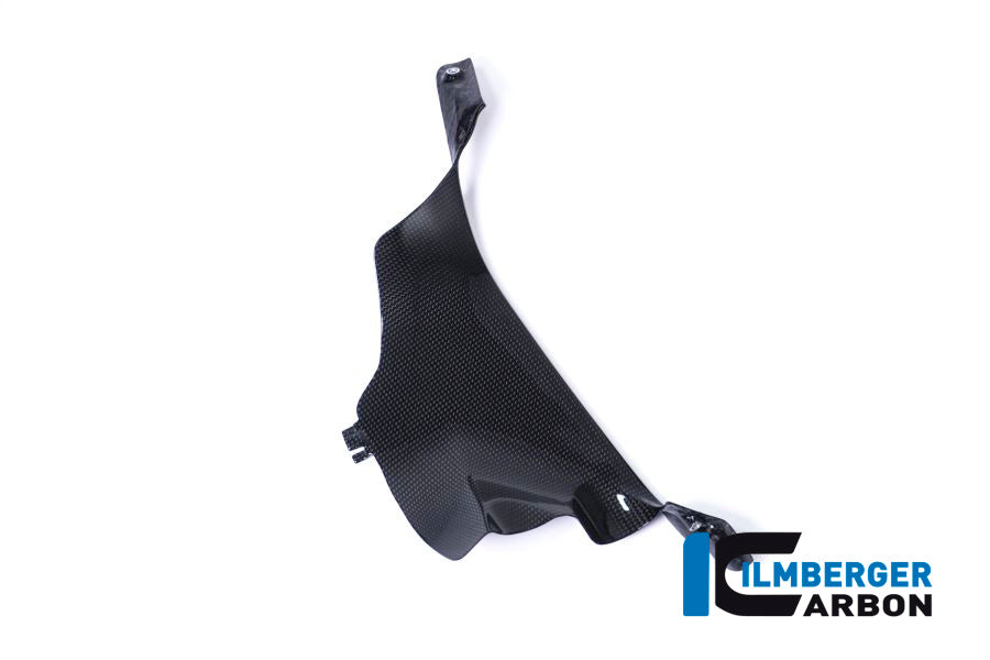 Ilmberger Carbon Air Tube Cover, Left for the Ducati Panigale V4,V4 S '18-22 / V4 R '19-22
