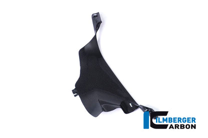 Ilmberger Carbon Air Tube Cover, Left for the Ducati Panigale V4,V4 S '18-22 / V4 R '19-22