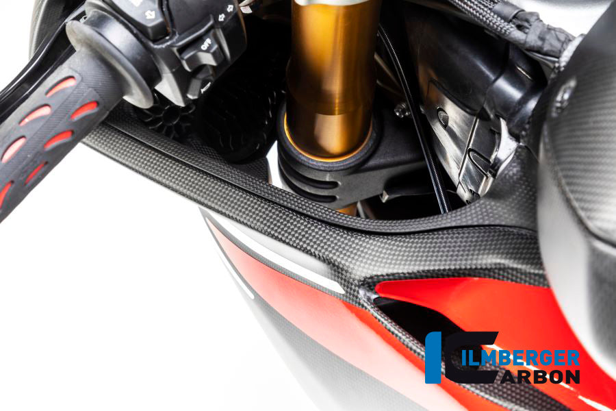 Ilmberger Carbon Air Tube Cover, Left for the Ducati Panigale V4,V4 S '18-22 / V4 R '19-22