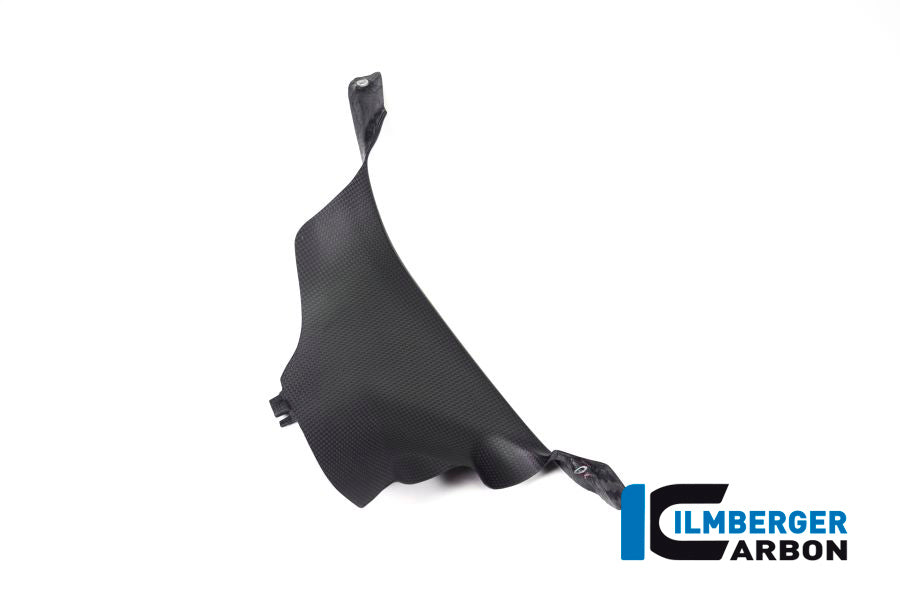 Ilmberger Carbon Air Tube Cover, Left for the Ducati Panigale V4,V4 S '18-22 / V4 R '19-22
