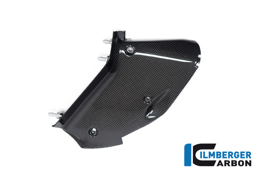 Ilmberger Carbon Inner Airtube Cover, Right for the Ducati  Diavel V4 2023