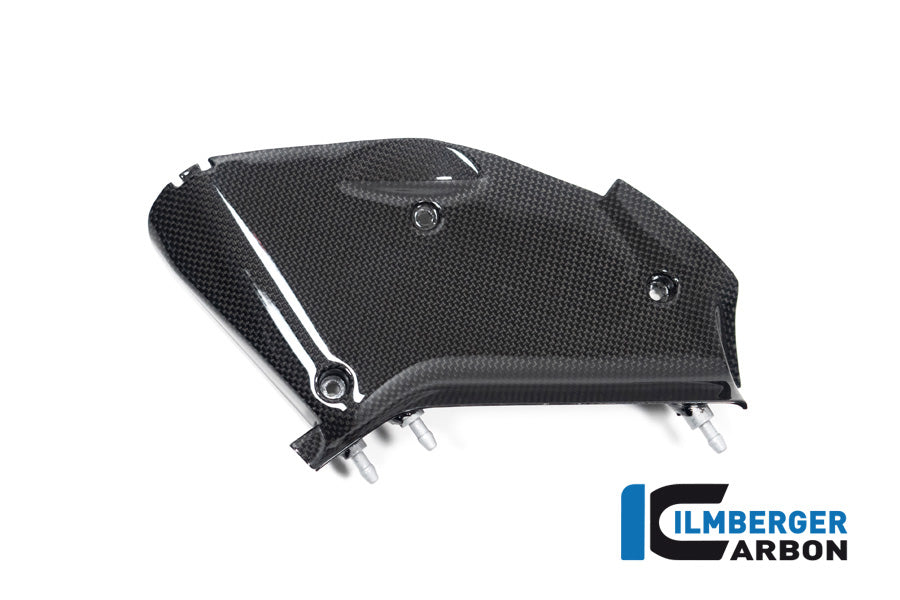 Ilmberger Carbon Inner Airtube Cover, Right for the Ducati  Diavel V4 2023