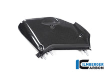 Ilmberger Carbon Inner Airtube Cover, Right for the Ducati  Diavel V4 2023