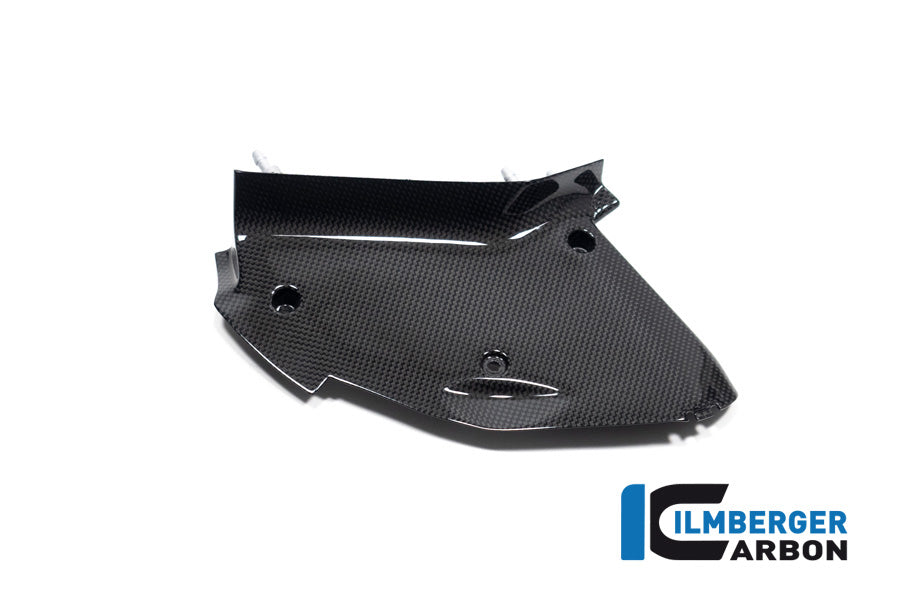 Ilmberger Carbon Inner Airtube Cover, Right for the Ducati  Diavel V4 2023
