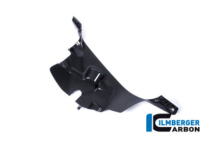Ilmberger Carbon Air Tube Cover, Right for the Ducati Panigale V4,V4 S '18-22 / V4 R '19-22