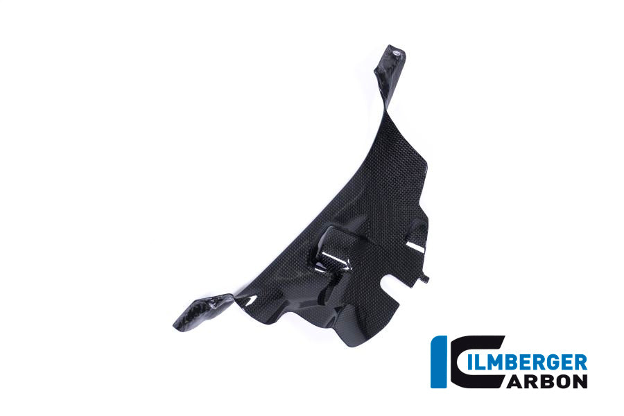 Ilmberger Carbon Air Tube Cover, Right for the Ducati Panigale V4,V4 S '18-22 / V4 R '19-22