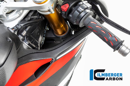 Ilmberger Carbon Air Tube Cover, Right for the Ducati Panigale V4,V4 S '18-22 / V4 R '19-22