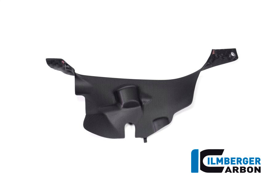Ilmberger Carbon Air Tube Cover, Right for the Ducati Panigale V4,V4 S '18-22 / V4 R '19-22