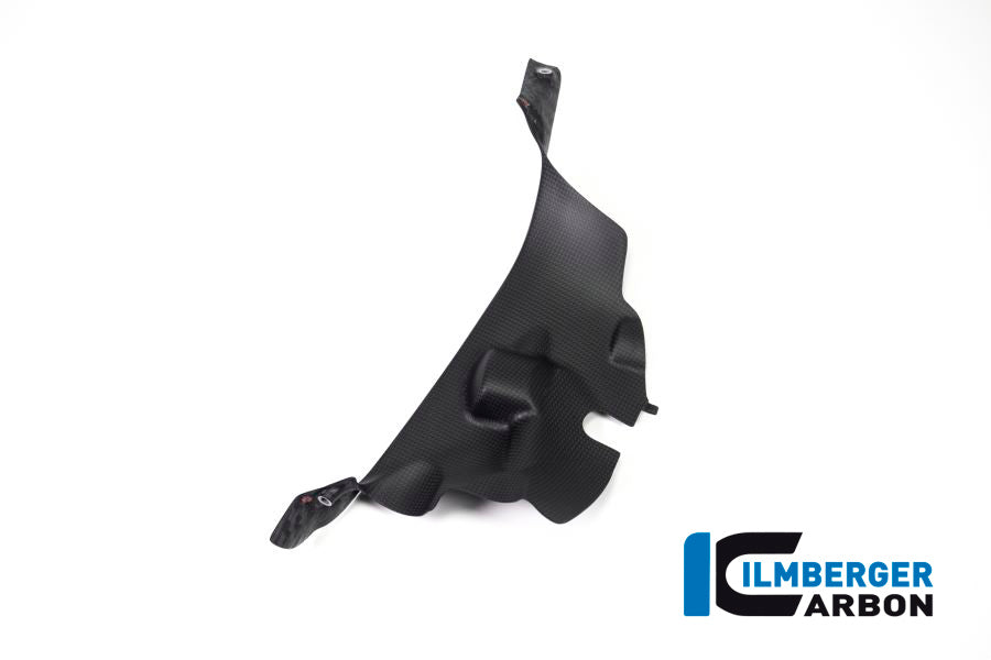 Ilmberger Carbon Air Tube Cover, Right for the Ducati Panigale V4,V4 S '18-22 / V4 R '19-22