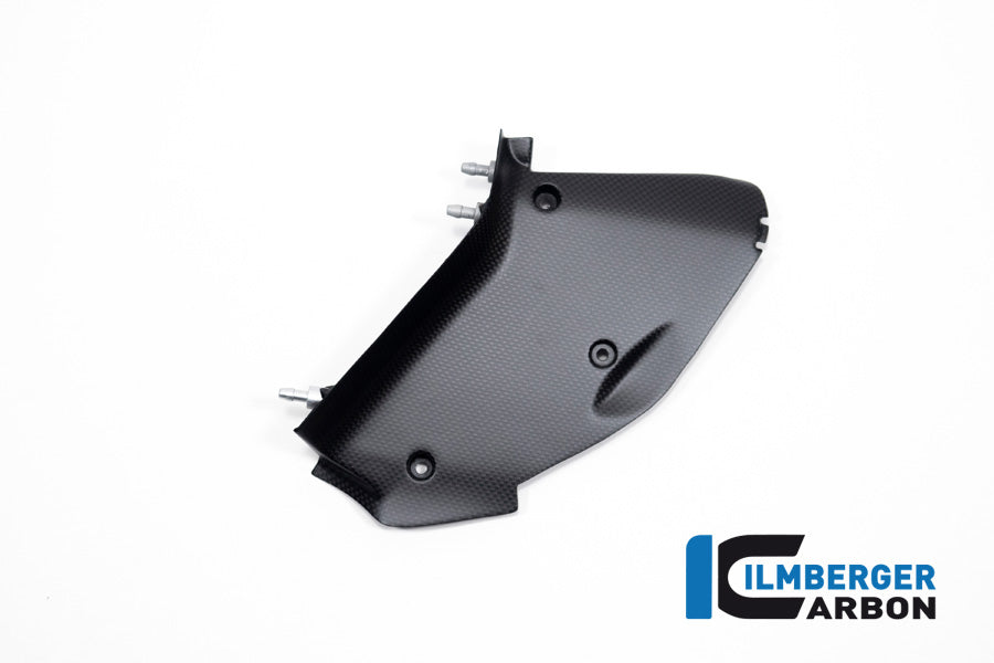 Ilmberger Carbon Inner Airtube Cover, Right for the Ducati  Diavel V4 2023