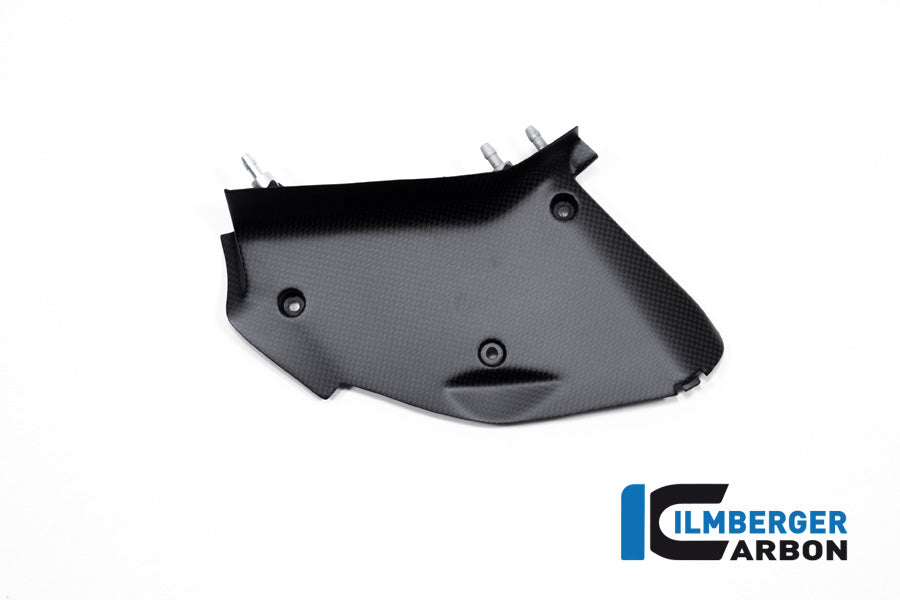 Ilmberger Carbon Inner Airtube Cover, Right for the Ducati  Diavel V4 2023