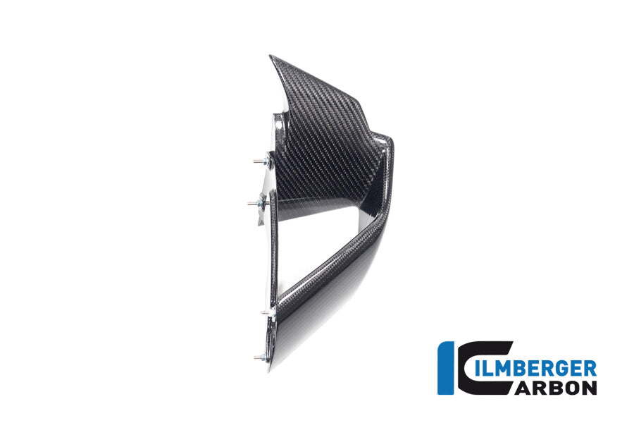 Ilmberger Carbon Winglet Kit for the BMW S 1000 RR '19-22 / M1000RR '21-22