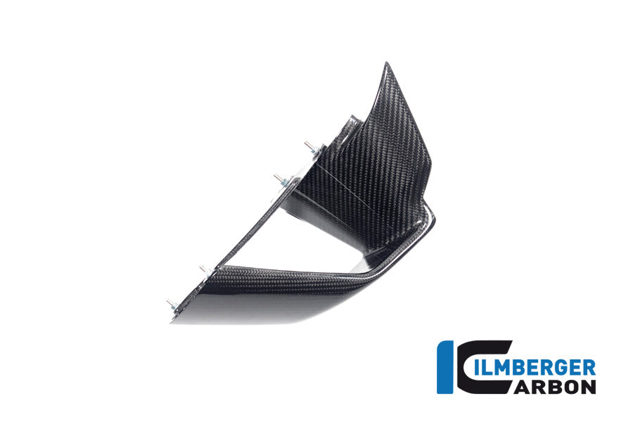 Ilmberger Carbon Winglet Kit for the BMW S 1000 RR '19-22 / M1000RR '21-22