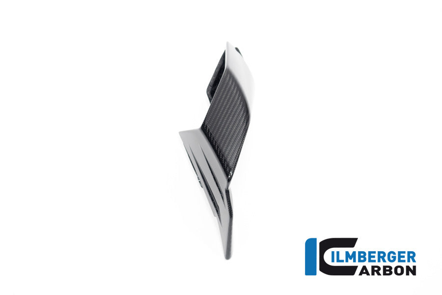 Ilmberger Carbon Winglet Kit for the BMW S 1000 RR '19-22 / M1000RR '21-22