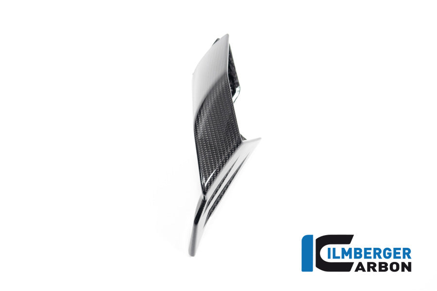 Ilmberger Carbon Winglet Kit for the BMW S 1000 RR '19-22 / M1000RR '21-22