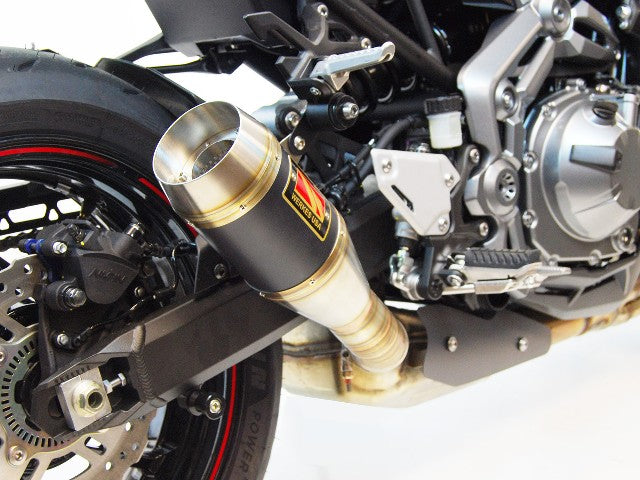 Competition Werkes GP Slip On Exhaust for the Kawasaki Z900 (2017+)