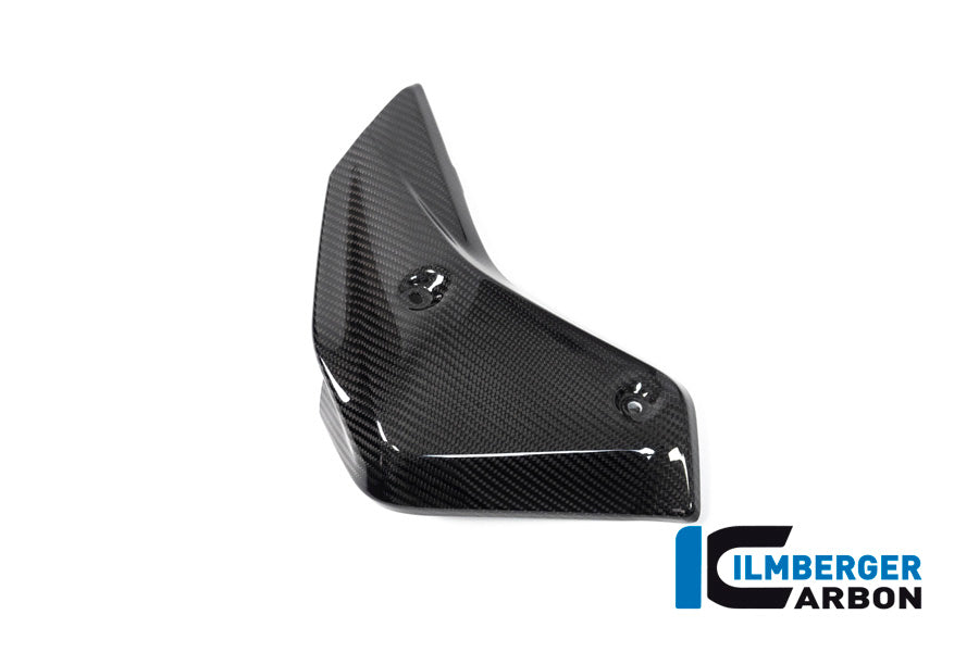Ilmberger Carbon Watercooler Cover, Left Side for the BMW R 1250 R 2019