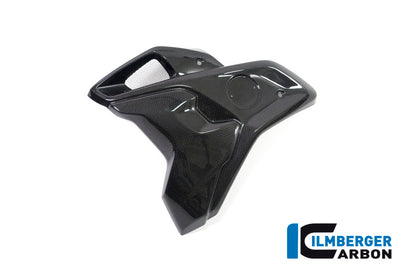 Ilmberger Carbon Airtube Left Side Complete INCL Flap for the BMW R 1200 GS 2017